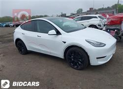 تسلا موديل Y